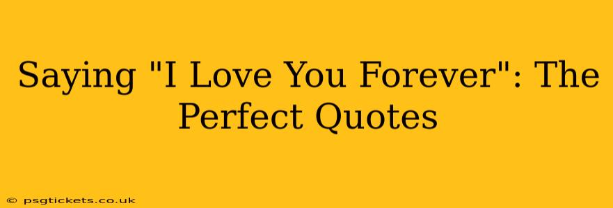 Saying "I Love You Forever": The Perfect Quotes