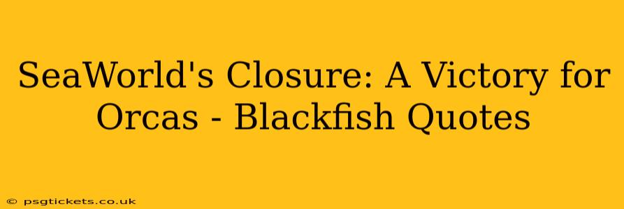 SeaWorld's Closure: A Victory for Orcas - Blackfish Quotes