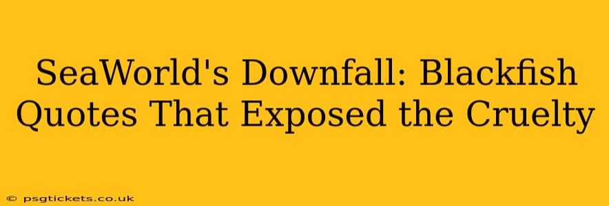 SeaWorld's Downfall: Blackfish Quotes That Exposed the Cruelty