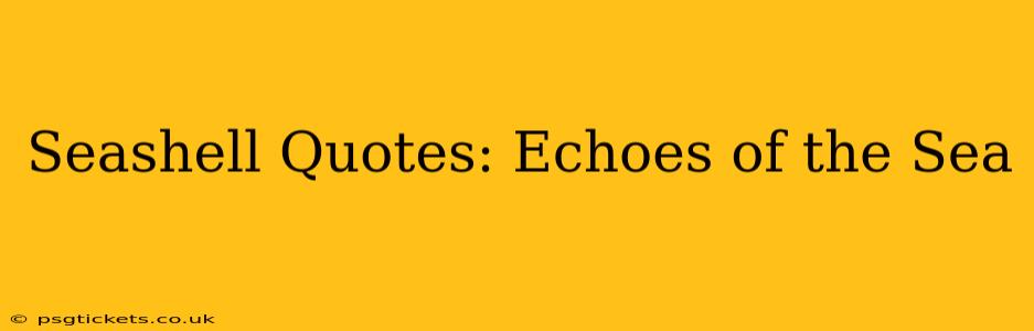 Seashell Quotes: Echoes of the Sea