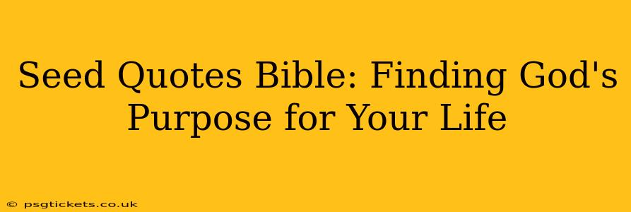 Seed Quotes Bible: Finding God's Purpose for Your Life