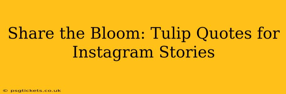 Share the Bloom: Tulip Quotes for Instagram Stories