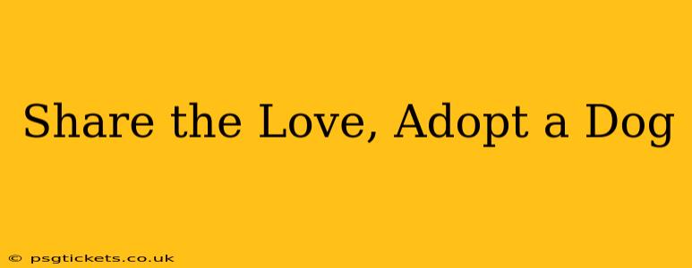 Share the Love, Adopt a Dog