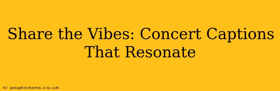Share the Vibes: Concert Captions That Resonate