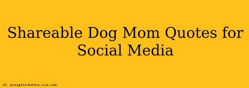 Shareable Dog Mom Quotes for Social Media