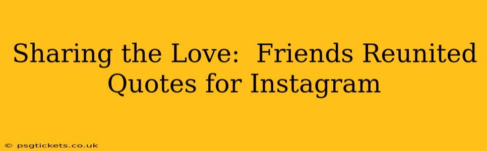 Sharing the Love:  Friends Reunited Quotes for Instagram