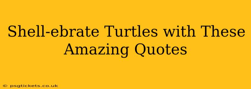 Shell-ebrate Turtles with These Amazing Quotes