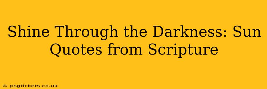 Shine Through the Darkness: Sun Quotes from Scripture