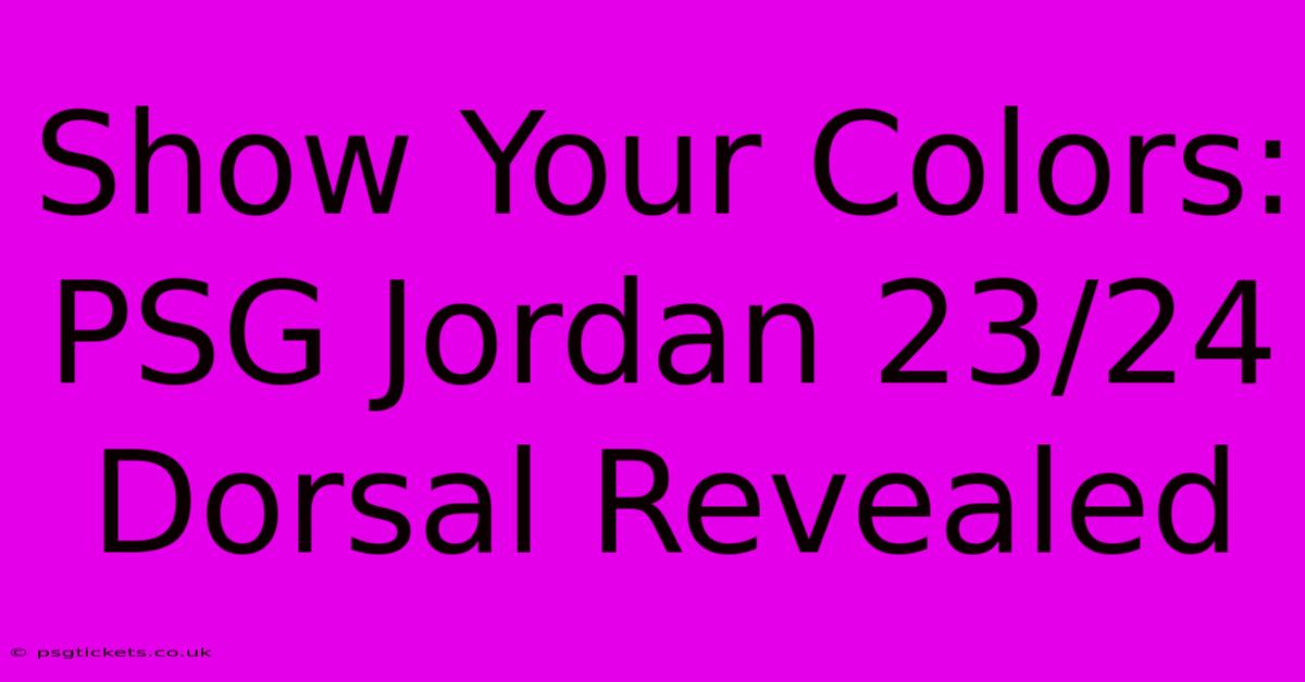 Show Your Colors: PSG Jordan 23/24 Dorsal Revealed