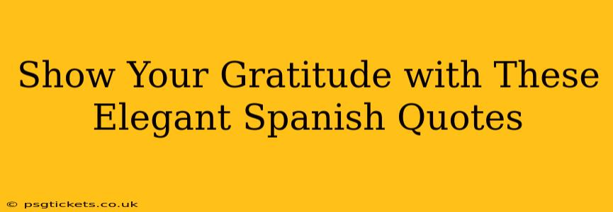 Show Your Gratitude with These Elegant Spanish Quotes