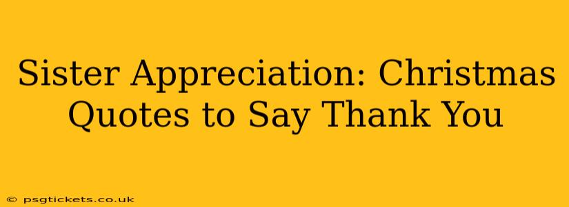 Sister Appreciation: Christmas Quotes to Say Thank You