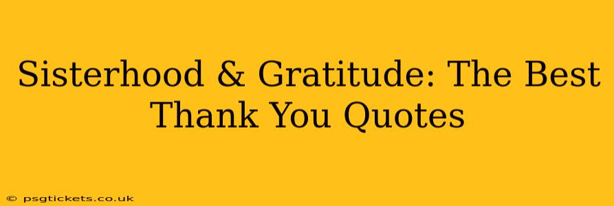 Sisterhood & Gratitude: The Best Thank You Quotes