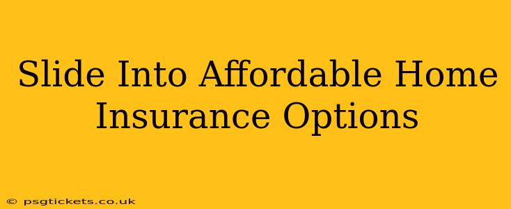 Slide Into Affordable Home Insurance Options