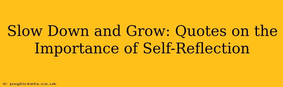 Slow Down and Grow: Quotes on the Importance of Self-Reflection