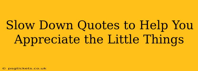 Slow Down Quotes to Help You Appreciate the Little Things