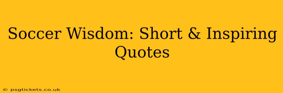 Soccer Wisdom: Short & Inspiring Quotes