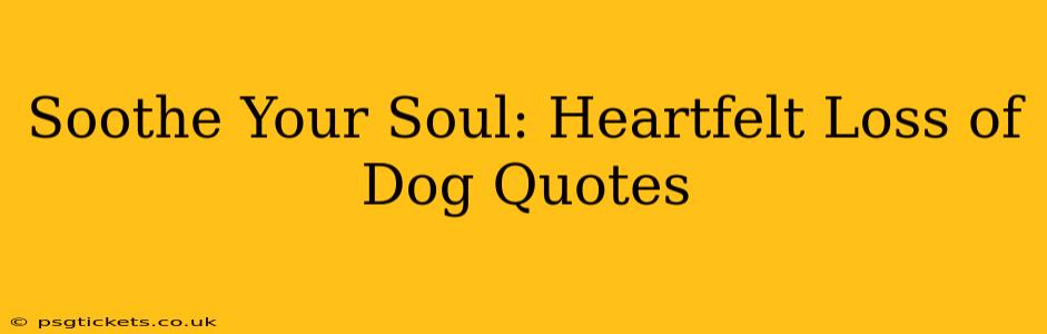 Soothe Your Soul: Heartfelt Loss of Dog Quotes