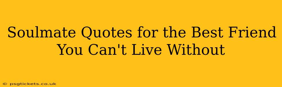 Soulmate Quotes for the Best Friend You Can't Live Without