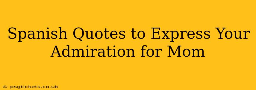 Spanish Quotes to Express Your Admiration for Mom