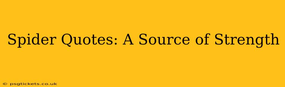 Spider Quotes: A Source of Strength