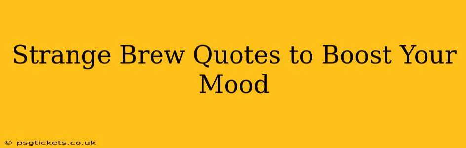 Strange Brew Quotes to Boost Your Mood