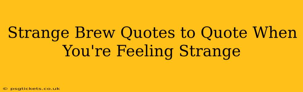 Strange Brew Quotes to Quote When You're Feeling Strange