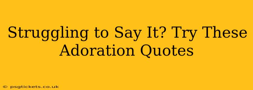 Struggling to Say It? Try These Adoration Quotes