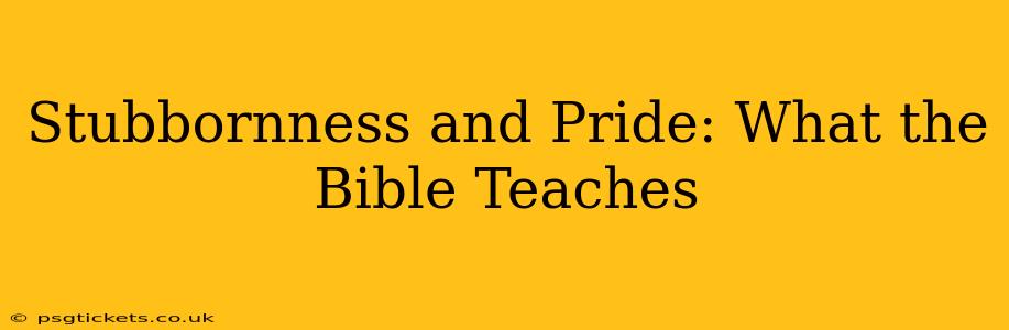 Stubbornness and Pride: What the Bible Teaches