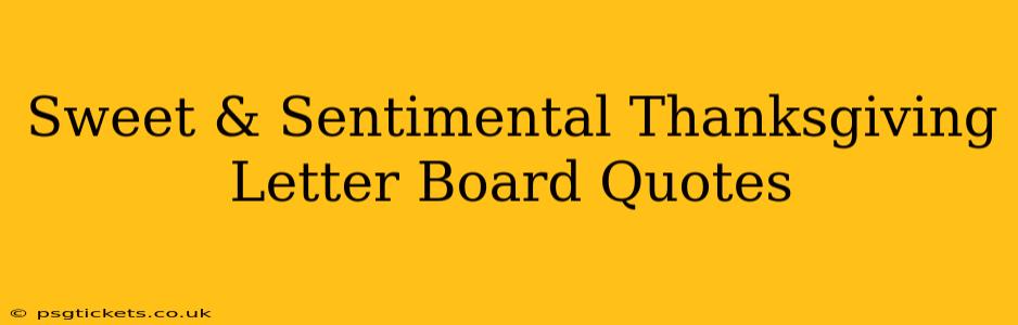 Sweet & Sentimental Thanksgiving Letter Board Quotes