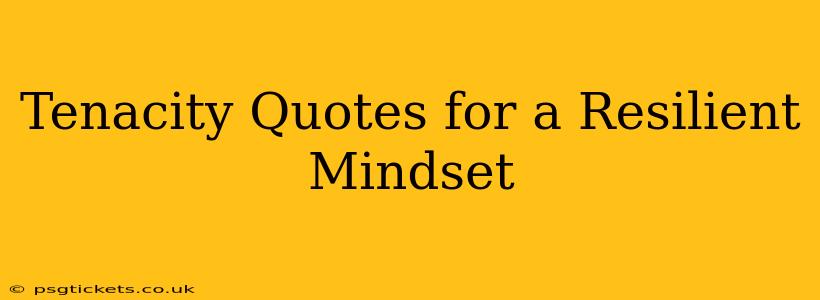 Tenacity Quotes for a Resilient Mindset