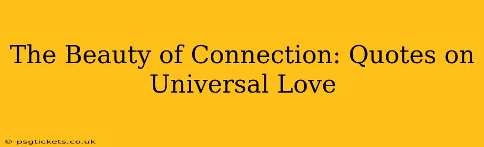 The Beauty of Connection: Quotes on Universal Love