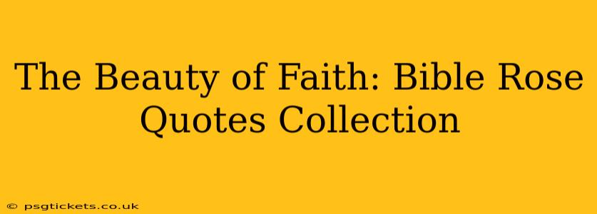 The Beauty of Faith: Bible Rose Quotes Collection