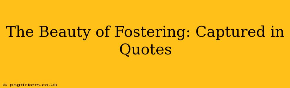 The Beauty of Fostering: Captured in Quotes