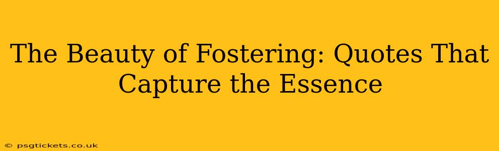 The Beauty of Fostering: Quotes That Capture the Essence