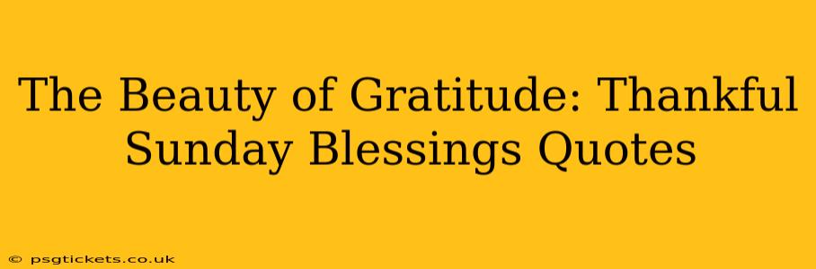 The Beauty of Gratitude: Thankful Sunday Blessings Quotes