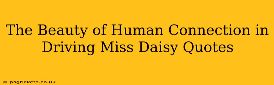 The Beauty of Human Connection in Driving Miss Daisy Quotes