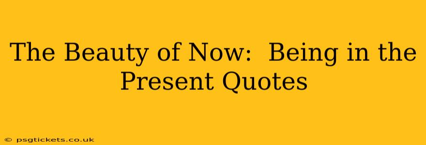 The Beauty of Now:  Being in the Present Quotes
