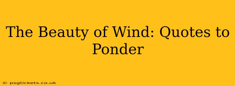 The Beauty of Wind: Quotes to Ponder
