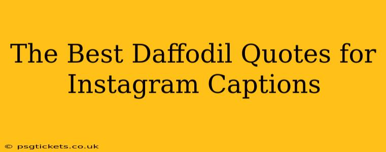 The Best Daffodil Quotes for Instagram Captions