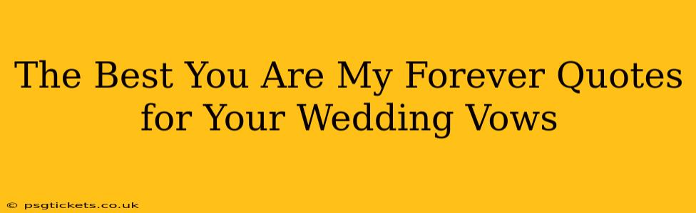 The Best You Are My Forever Quotes for Your Wedding Vows