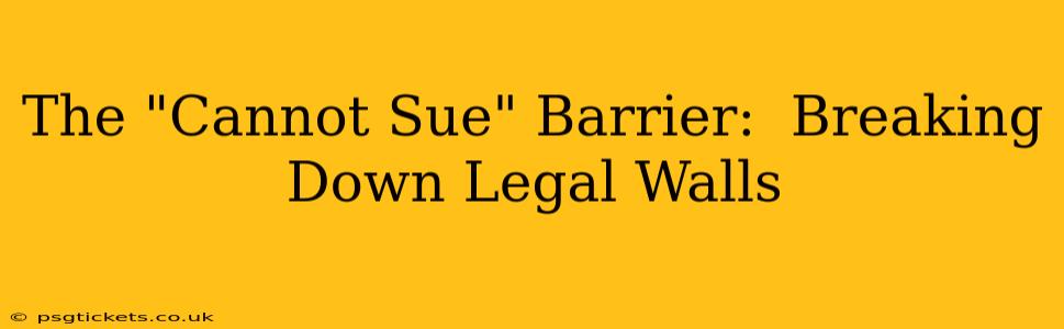 The "Cannot Sue" Barrier:  Breaking Down Legal Walls