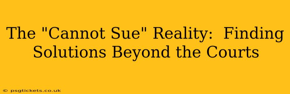 The "Cannot Sue" Reality:  Finding Solutions Beyond the Courts