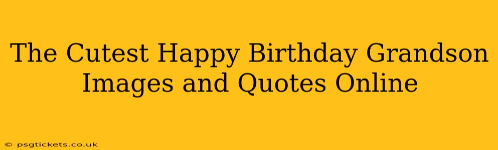 The Cutest Happy Birthday Grandson Images and Quotes Online