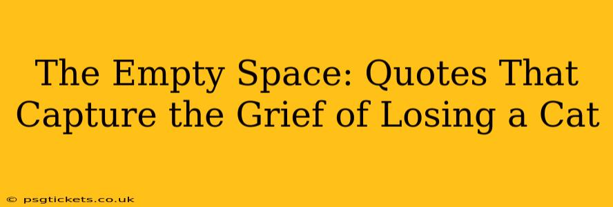 The Empty Space: Quotes That Capture the Grief of Losing a Cat