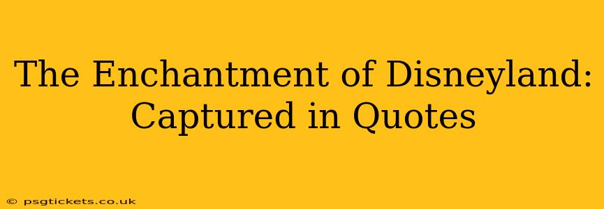 The Enchantment of Disneyland: Captured in Quotes