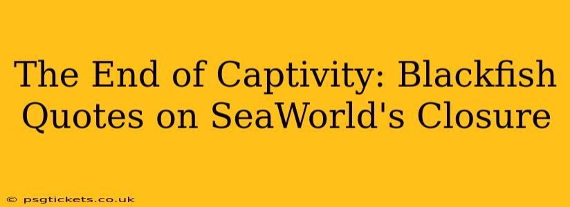 The End of Captivity: Blackfish Quotes on SeaWorld's Closure