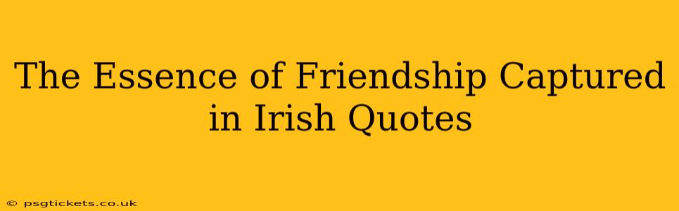 The Essence of Friendship Captured in Irish Quotes