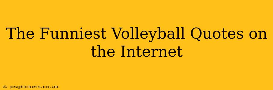 The Funniest Volleyball Quotes on the Internet