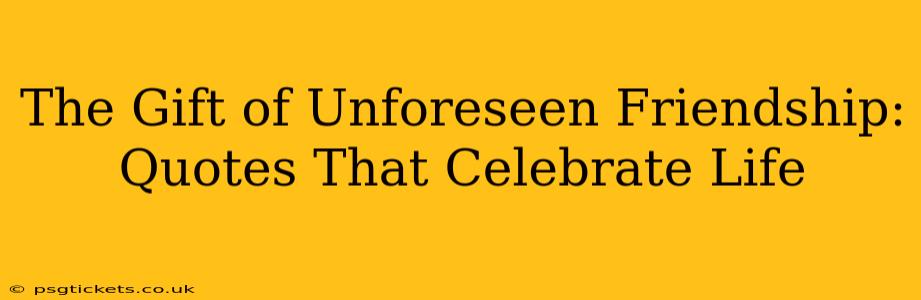 The Gift of Unforeseen Friendship: Quotes That Celebrate Life