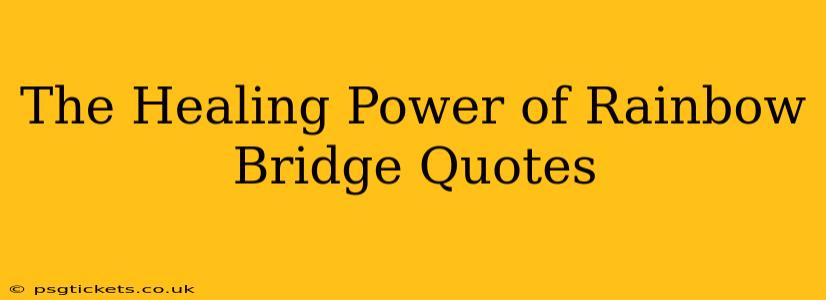 The Healing Power of Rainbow Bridge Quotes